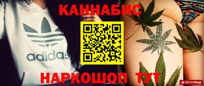 дмт Донской