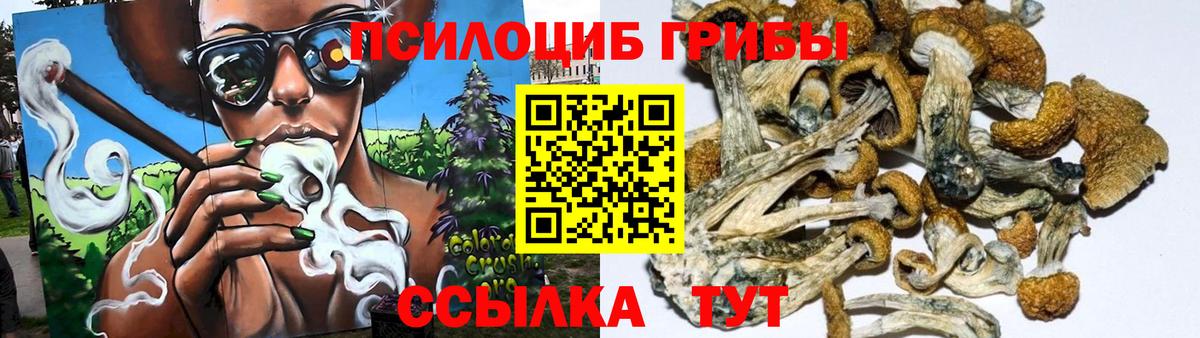 Псилоцибиновые грибы Psilocybine cubensis  Вход с VPN  Нурлат 